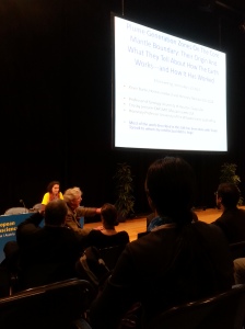 Kevin Burke giving his medal lecture at the EGU2014